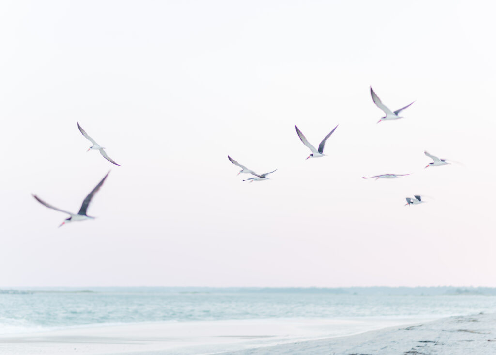 Wrightsville beach NC engagement 